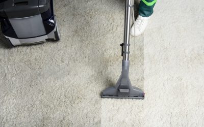 high angle view of person cleaning white carpet with professional vacuum cleaner